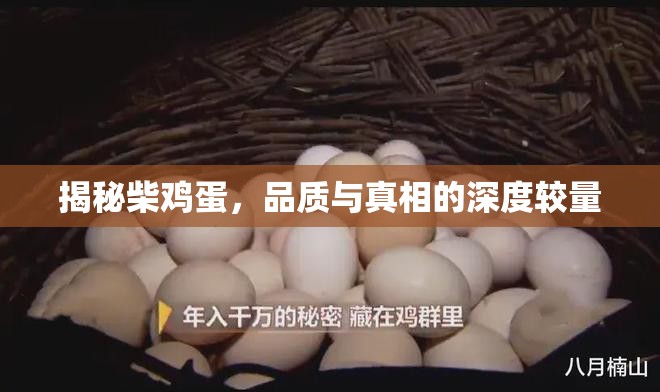揭秘柴雞蛋，品質(zhì)與真相的深度較量