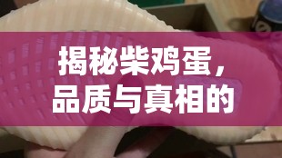 揭秘柴雞蛋，品質(zhì)與真相的深度較量