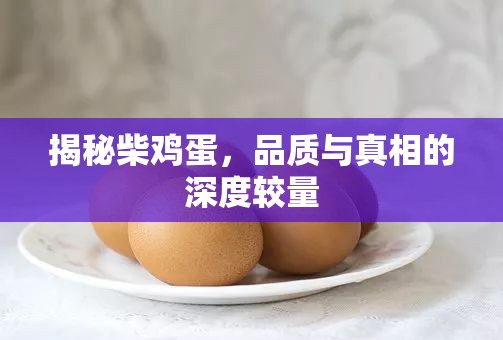 揭秘柴雞蛋，品質(zhì)與真相的深度較量