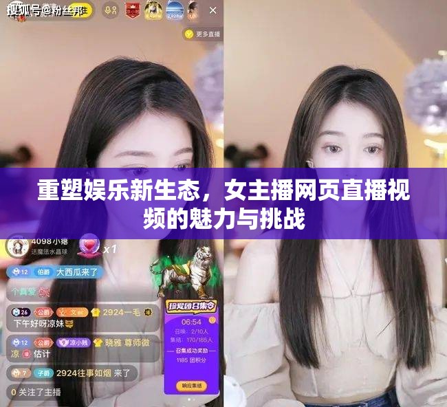 重塑娛樂新生態(tài)，女主播網(wǎng)頁直播視頻的魅力與挑戰(zhàn)