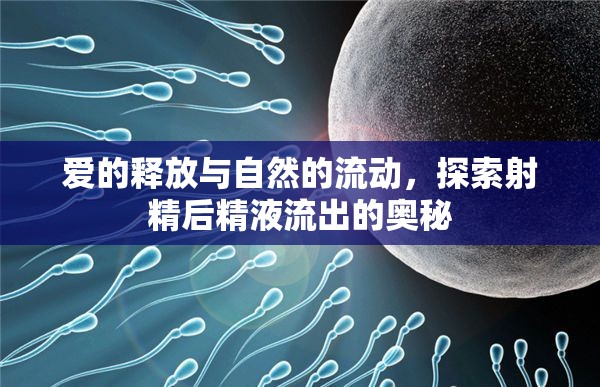 愛的釋放與自然的流動(dòng)，探索射精后精液流出的奧秘