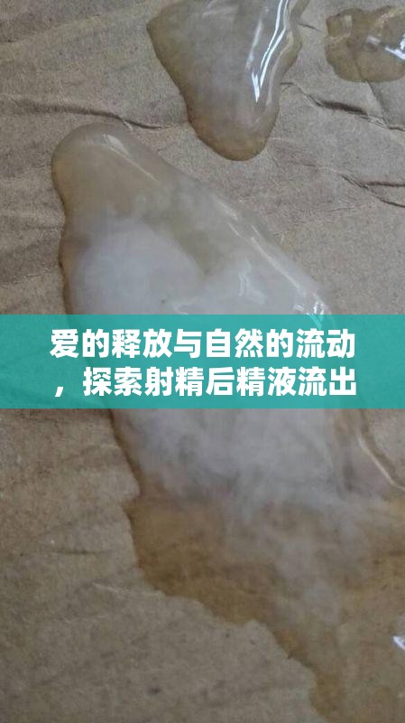 愛的釋放與自然的流動(dòng)，探索射精后精液流出的奧秘