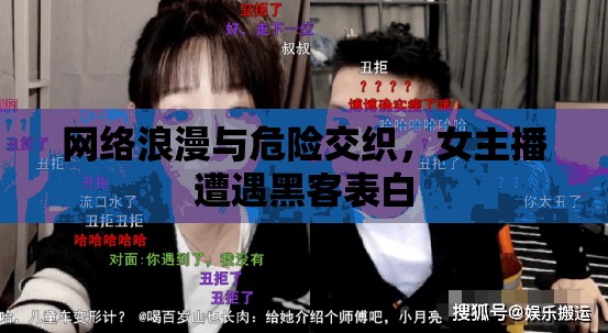 網(wǎng)絡(luò)浪漫與危險(xiǎn)交織，女主播遭遇黑客表白