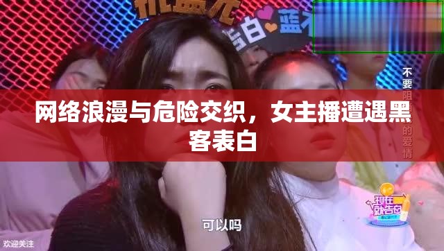 網(wǎng)絡(luò)浪漫與危險(xiǎn)交織，女主播遭遇黑客表白