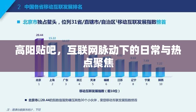 高陽貼吧，互聯(lián)網(wǎng)脈動下的日常與熱點聚焦