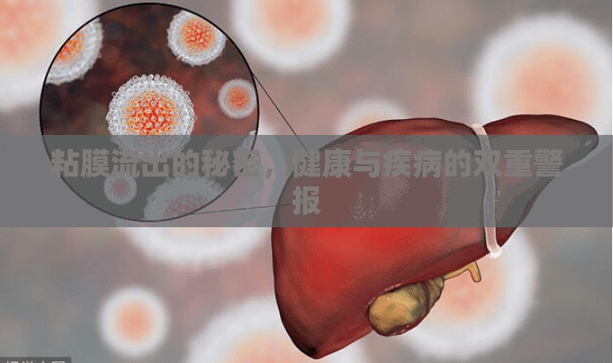 粘膜流出的秘密，健康與疾病的雙重警報(bào)