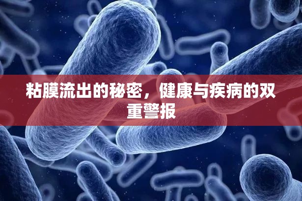 粘膜流出的秘密，健康與疾病的雙重警報(bào)