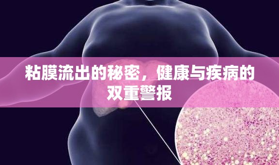 粘膜流出的秘密，健康與疾病的雙重警報(bào)