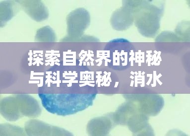 探索自然界的神秘與科學(xué)奧秘，消水色液體的奧秘