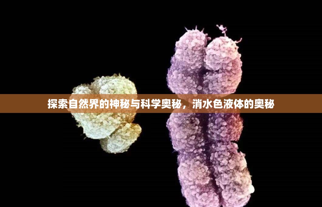 探索自然界的神秘與科學(xué)奧秘，消水色液體的奧秘