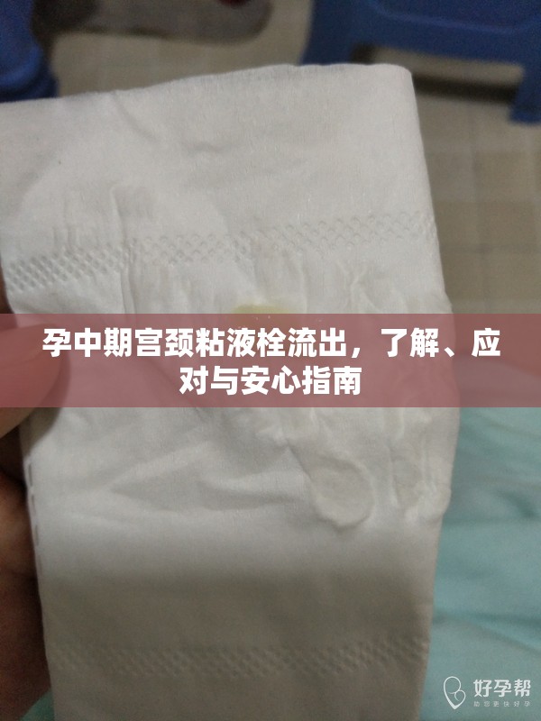 孕中期宮頸粘液栓流出，了解、應(yīng)對與安心指南