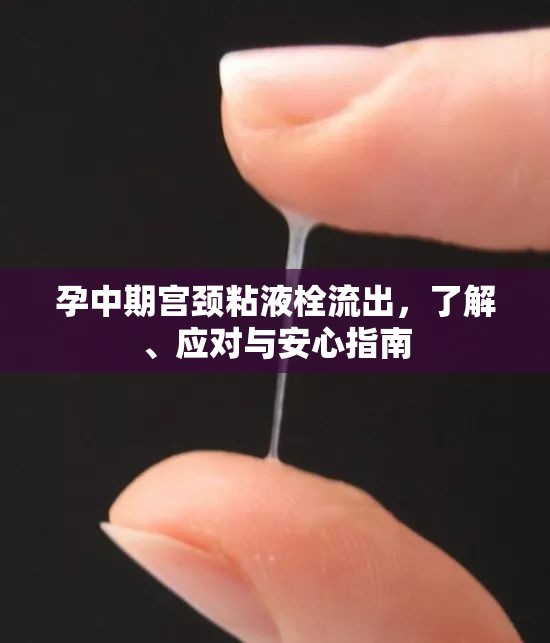 孕中期宮頸粘液栓流出，了解、應(yīng)對與安心指南