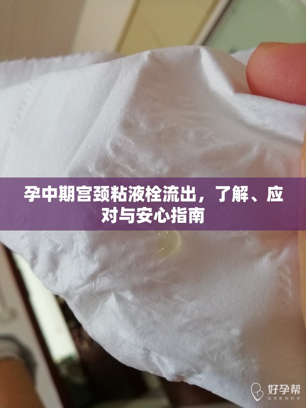 孕中期宮頸粘液栓流出，了解、應(yīng)對與安心指南