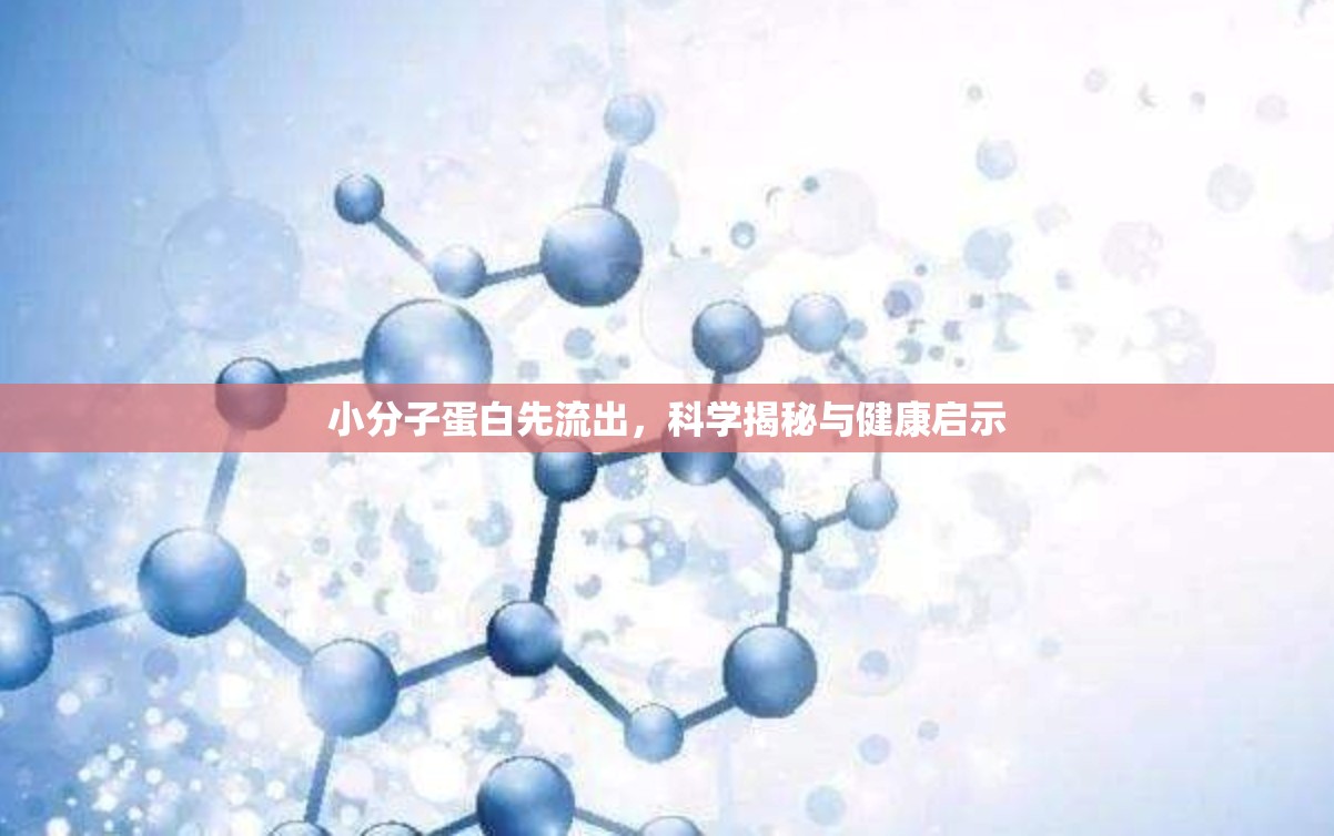 小分子蛋白先流出，科學揭秘與健康啟示