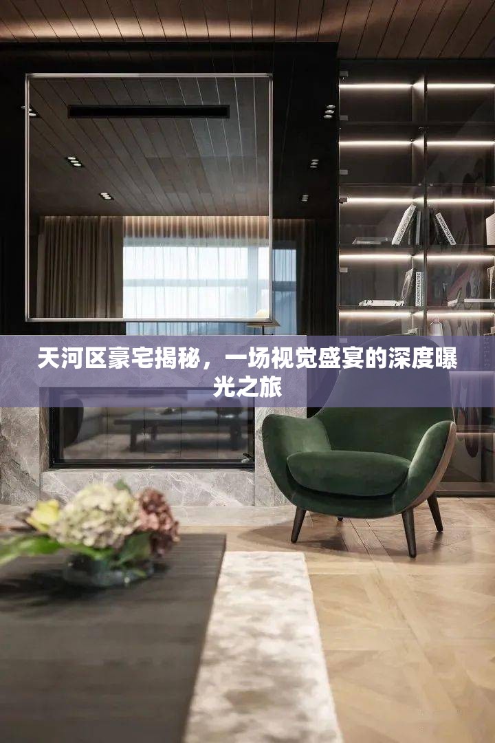 天河區(qū)豪宅揭秘，一場視覺盛宴的深度曝光之旅