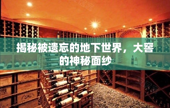 揭秘被遺忘的地下世界，大窖的神秘面紗