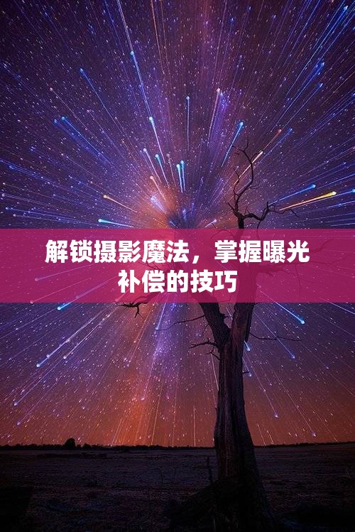 解鎖攝影魔法，掌握曝光補償?shù)募记? class=
