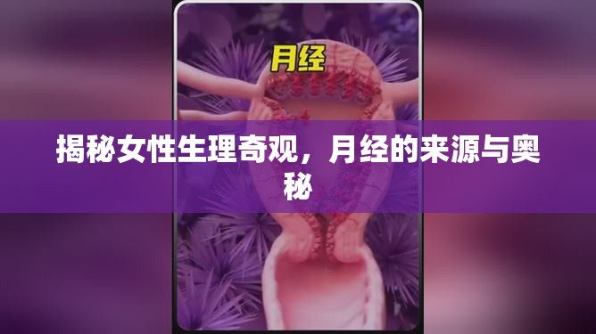 揭秘女性生理奇觀，月經(jīng)的來源與奧秘