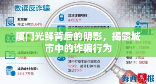 廈門光鮮背后的陰影，揭露城市中的詐騙行為