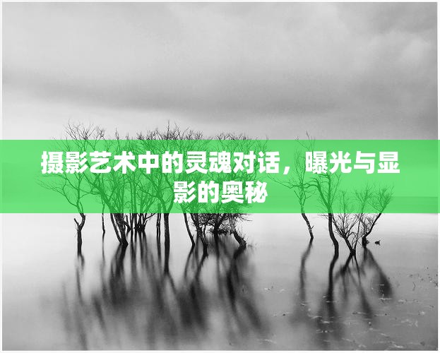 攝影藝術(shù)中的靈魂對(duì)話，曝光與顯影的奧秘