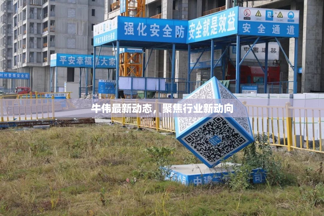牛偉最新動(dòng)態(tài)，聚焦行業(yè)新動(dòng)向