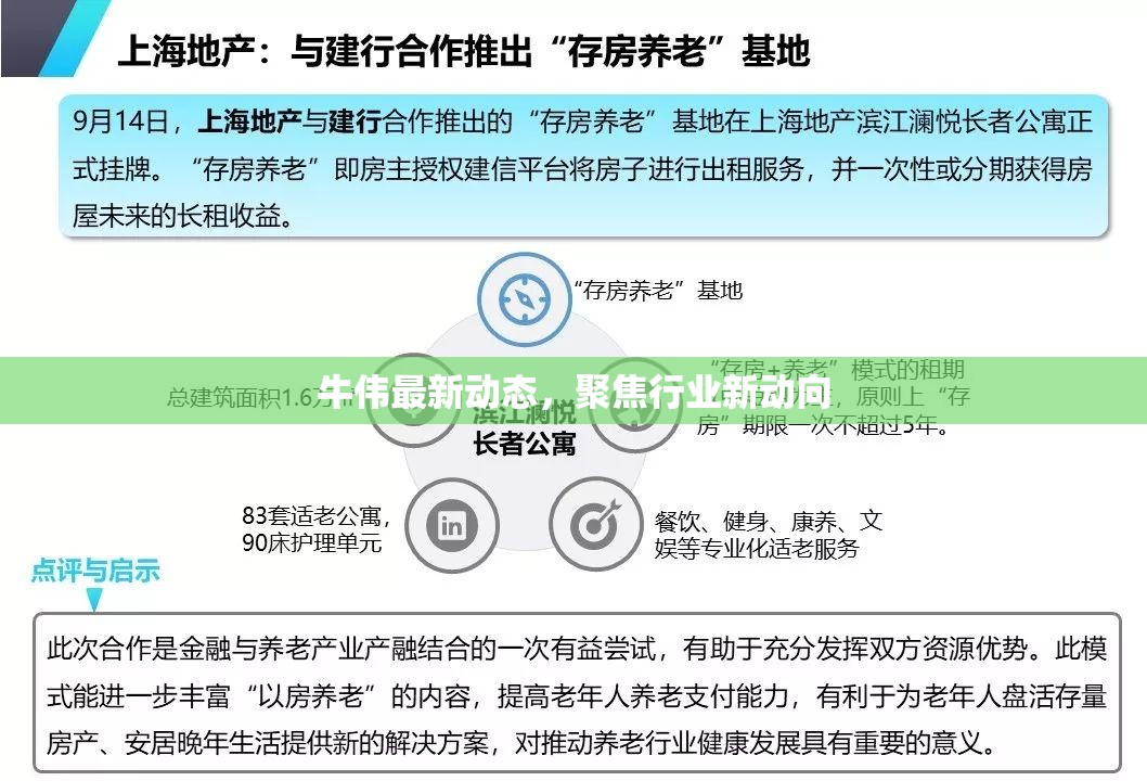 牛偉最新動(dòng)態(tài)，聚焦行業(yè)新動(dòng)向