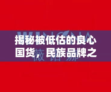 揭秘被低估的良心國(guó)貨，民族品牌之光