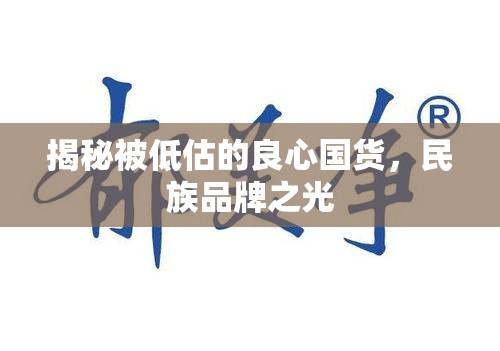揭秘被低估的良心國(guó)貨，民族品牌之光