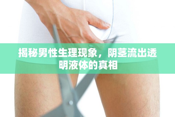 揭秘男性生理現(xiàn)象，陰莖流出透明液體的真相