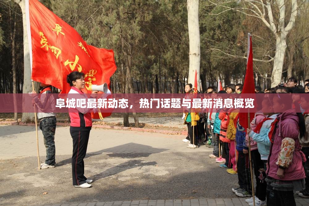 阜城吧最新動態(tài)，熱門話題與最新消息概覽