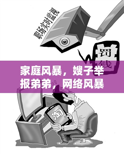 家庭風(fēng)暴，嫂子舉報(bào)弟弟，網(wǎng)絡(luò)風(fēng)暴下的家庭倫理與隱私邊界