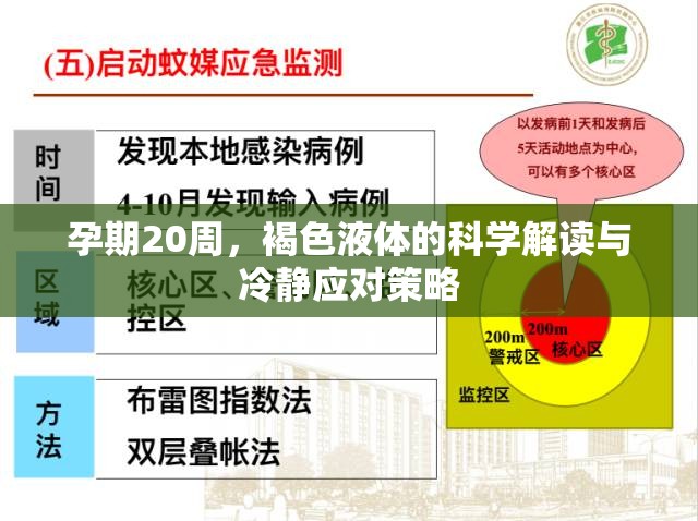 孕期20周，褐色液體的科學(xué)解讀與冷靜應(yīng)對策略