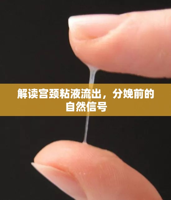 解讀宮頸粘液流出，分娩前的自然信號(hào)