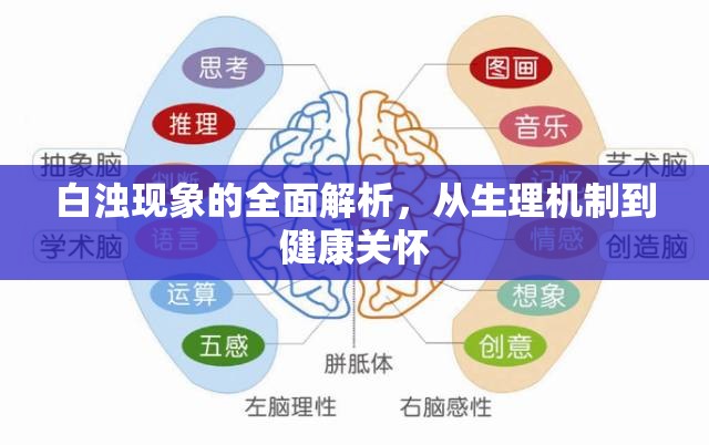 白濁現(xiàn)象的全面解析，從生理機(jī)制到健康關(guān)懷