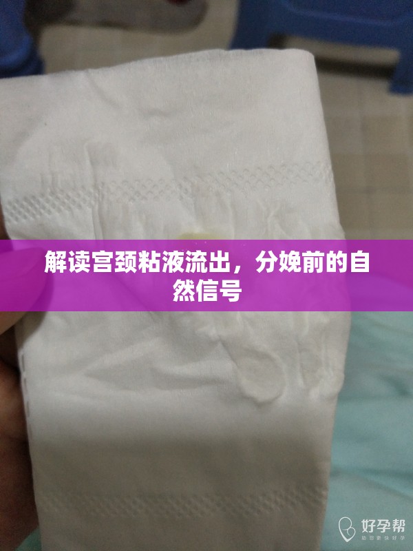 解讀宮頸粘液流出，分娩前的自然信號(hào)
