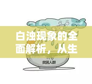 白濁現(xiàn)象的全面解析，從生理機(jī)制到健康關(guān)懷