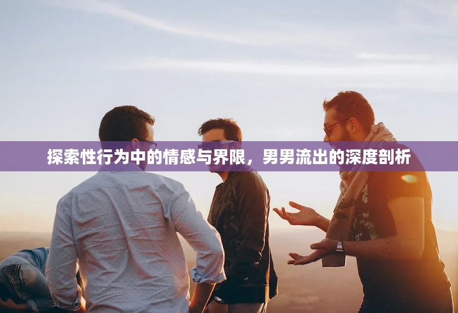 探索性行為中的情感與界限，男男流出的深度剖析