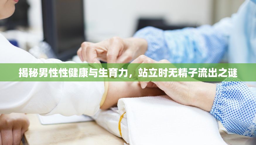 揭秘男性性健康與生育力，站立時無精子流出之謎