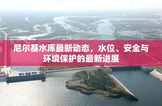 尼爾基水庫最新動態(tài)，水位、安全與環(huán)境保護的最新進展