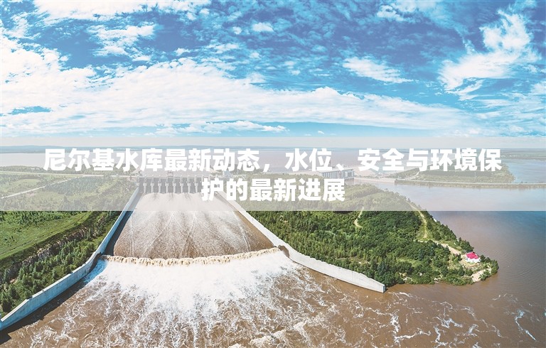 尼爾基水庫最新動態(tài)，水位、安全與環(huán)境保護的最新進展