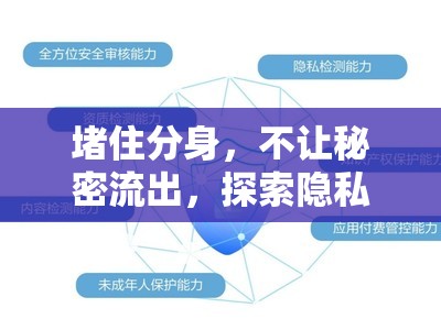 堵住分身，不讓秘密流出，探索隱私保護的重要性