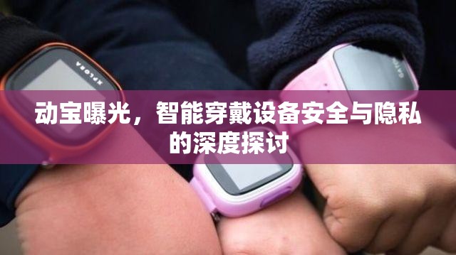 動寶曝光，智能穿戴設(shè)備安全與隱私的深度探討
