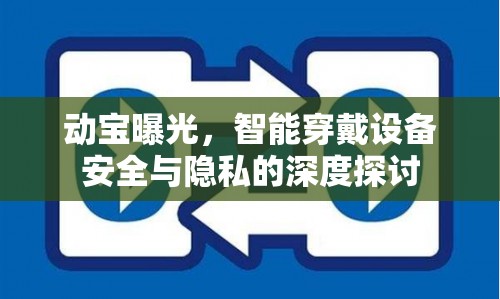 動寶曝光，智能穿戴設(shè)備安全與隱私的深度探討