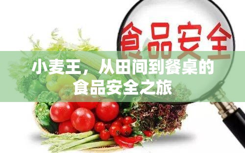 小麥王，從田間到餐桌的食品安全之旅