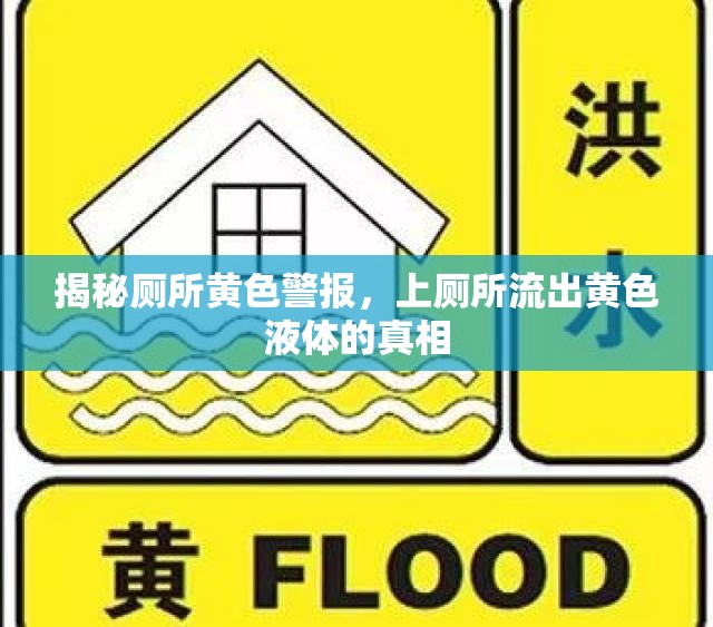 揭秘廁所黃色警報(bào)，上廁所流出黃色液體的真相