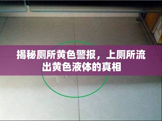 揭秘廁所黃色警報(bào)，上廁所流出黃色液體的真相