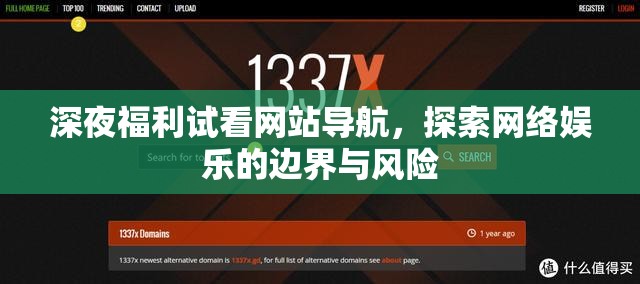 深夜福利試看網(wǎng)站導航，探索網(wǎng)絡娛樂的邊界與風險