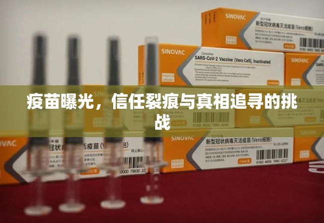 疫苗曝光，信任裂痕與真相追尋的挑戰(zhàn)
