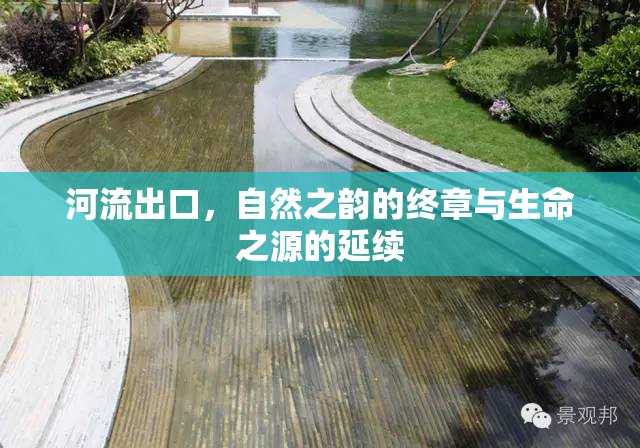 河流出口，自然之韻的終章與生命之源的延續(xù)