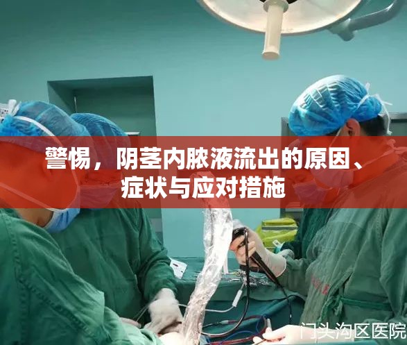 警惕，陰莖內(nèi)膿液流出的原因、癥狀與應(yīng)對措施